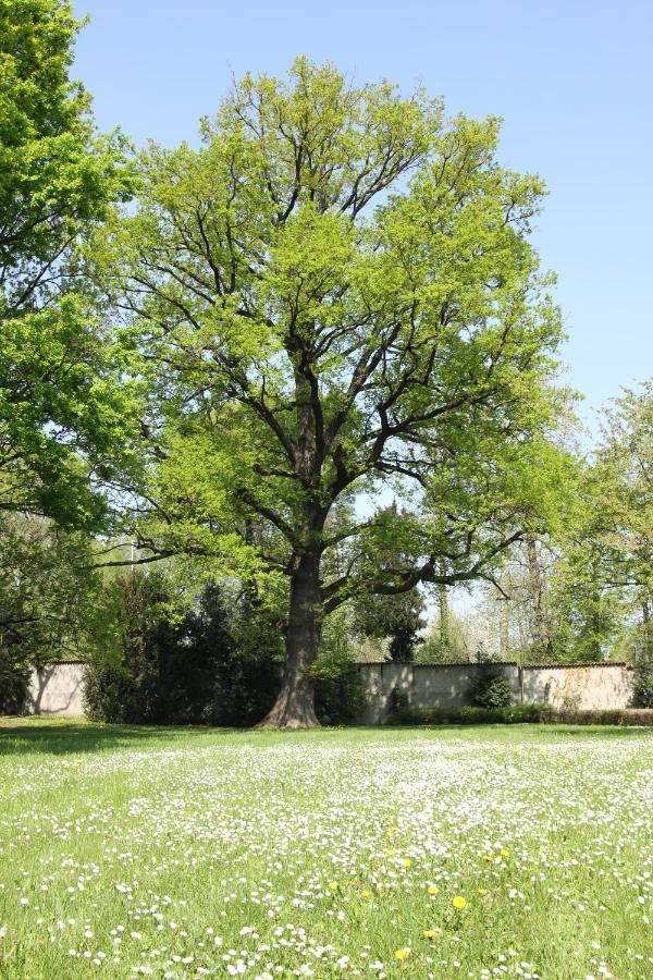 Storica Quercia B&B Nerviano Exterior photo